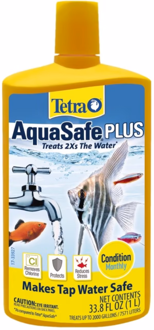 tetra