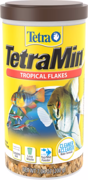 tetra
